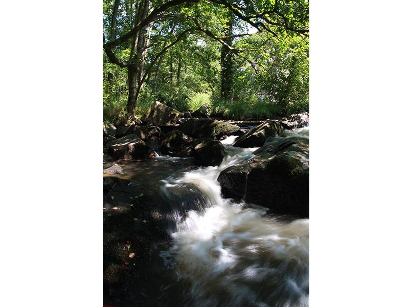 La Fosse Arthour | © CD 61