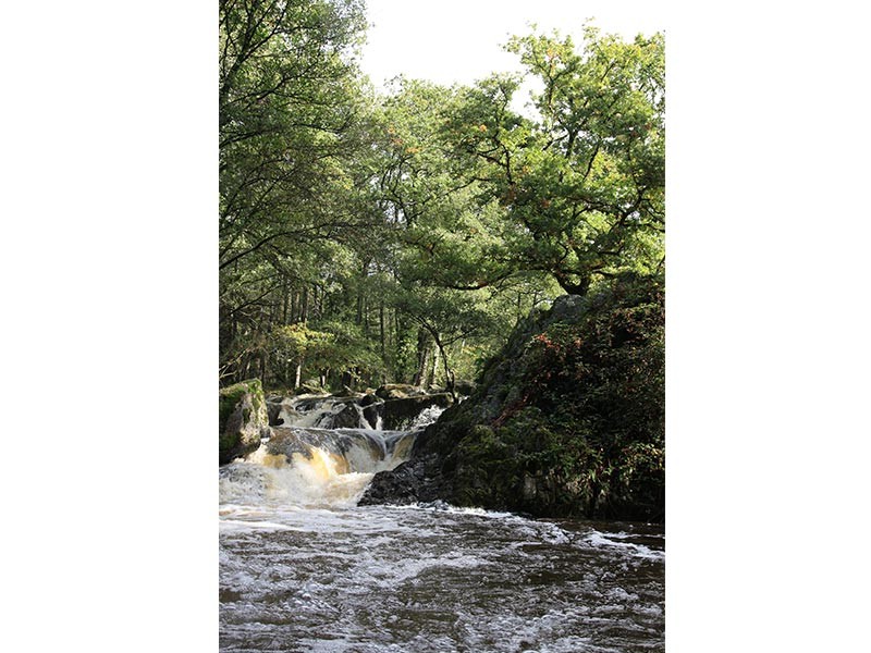 La Fosse Arthour | © CD 61