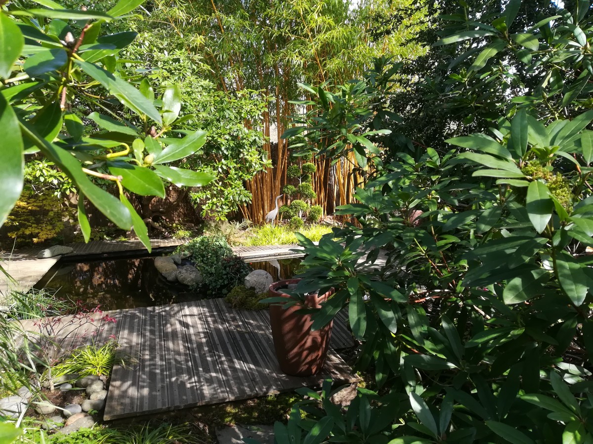 Bagnoles_Le jardin retiré | Le jardin d'eau me photo C Annie Blanchais