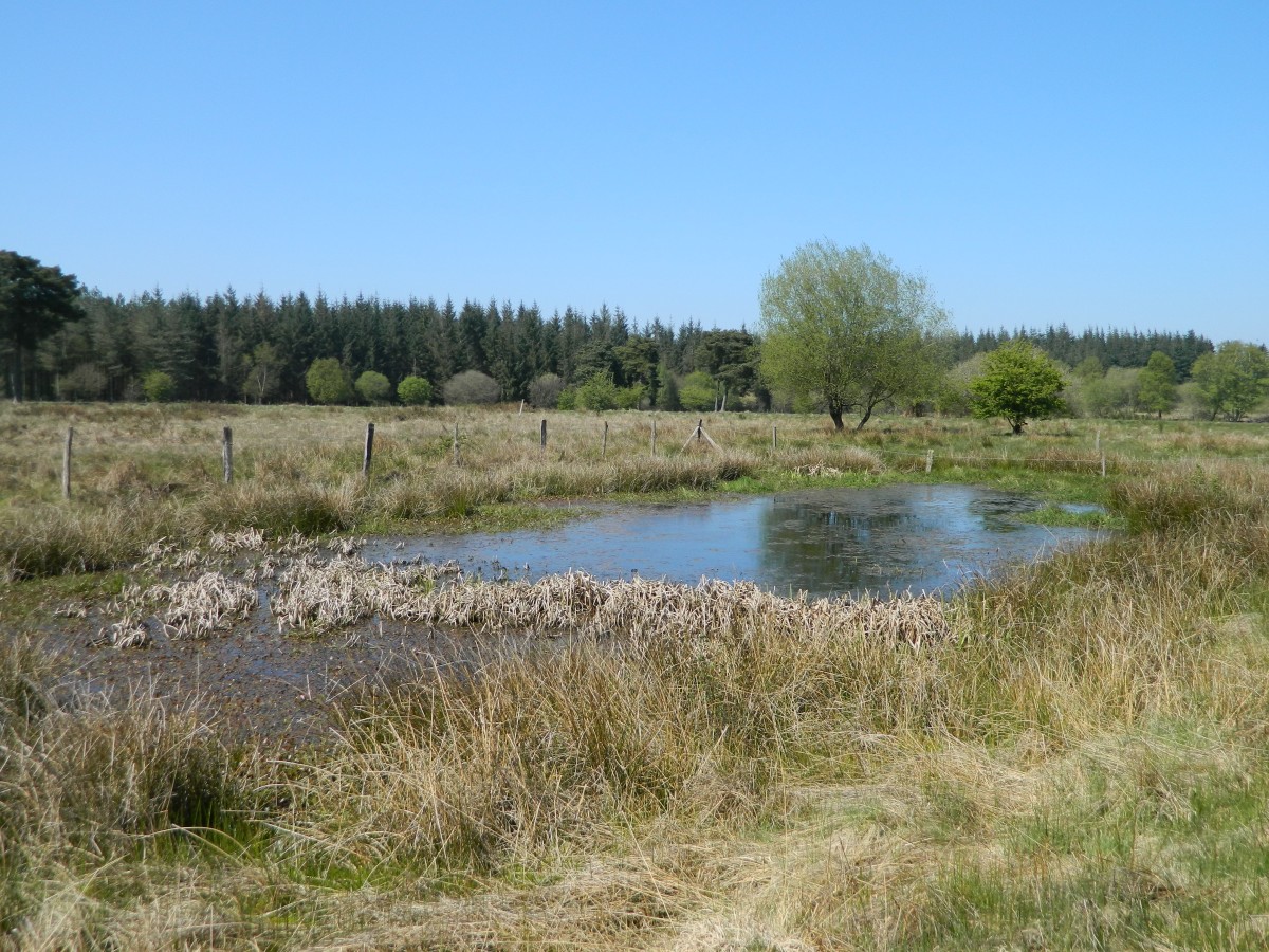 06_FB_06062026 | 1 - Parc naturel régional et Géoparc Normandie-Maine