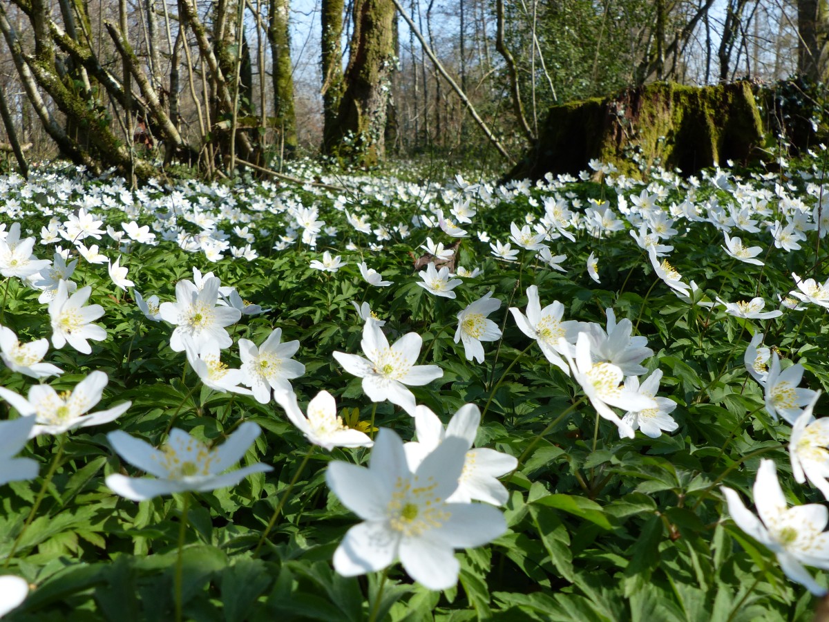 07_FB_07072026 | PNRNM