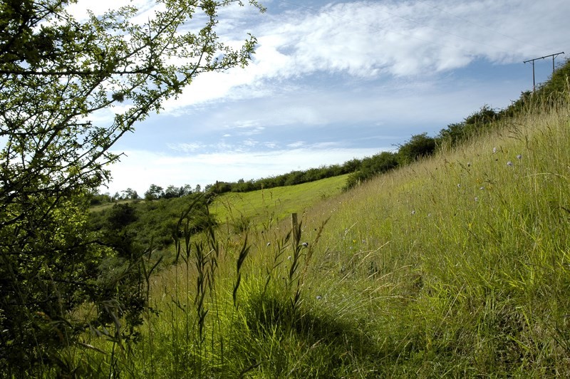 Coteau_bandonniere.paysage©D.COMMENCHAL (2) | D. COMMENCHAL