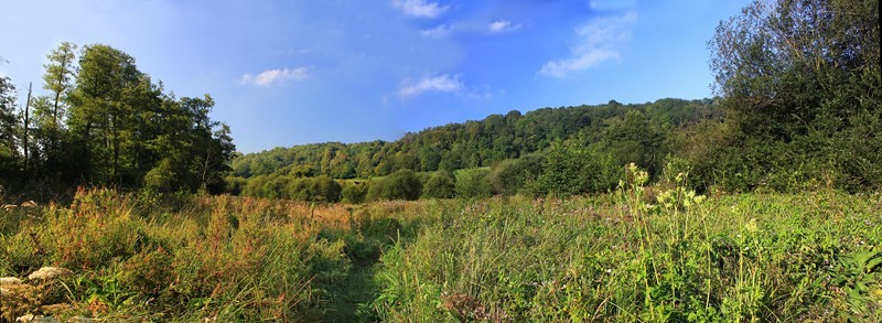 Prairie campigny_J-E Rubio (17) | J-E RUBIO