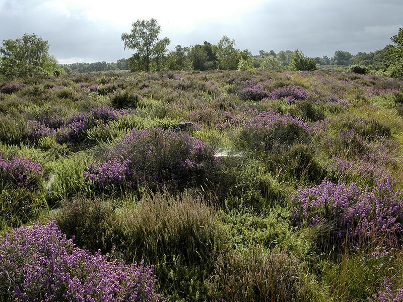 Le Vaudobin et les Gorges du Meillon | © D Commenchal