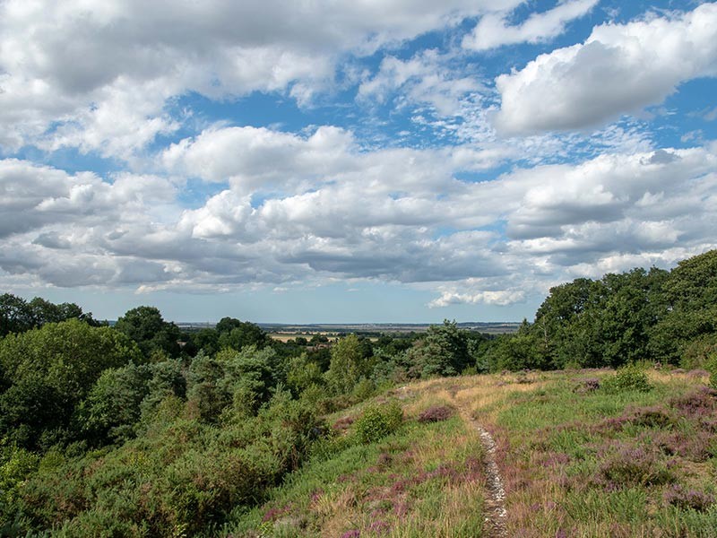 Le Vaudobin et les gorges du Meillon | © D Commenchal