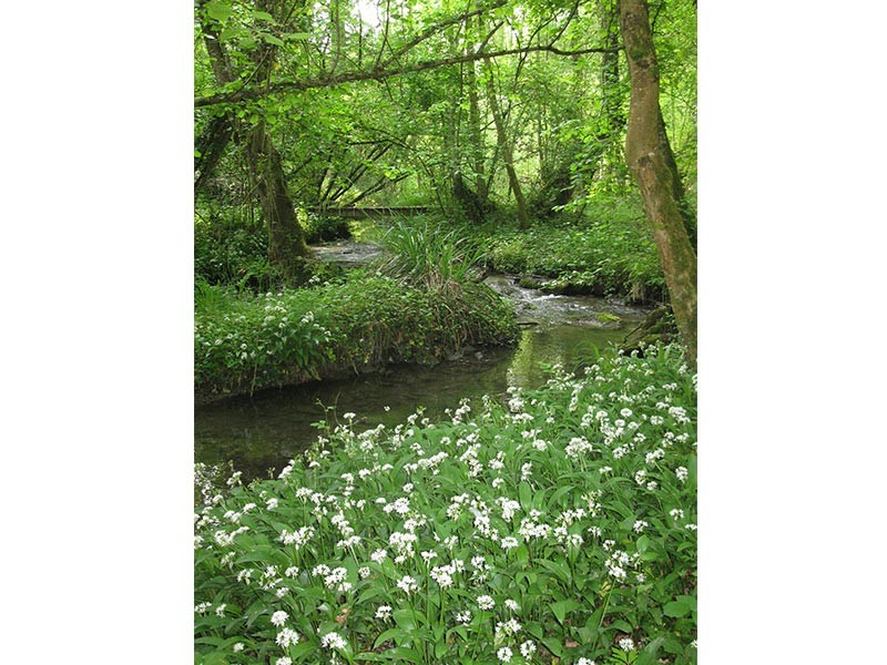 Le Vaudobin et les gorges du Meillon | © D Commenchal