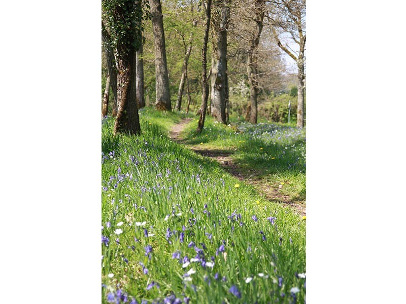 Le Vaudobin et les gorges du Meillon | © CD 61