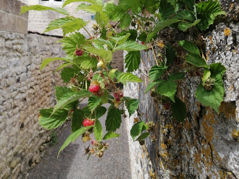 Entre eaux et terre à Ecouché | Terres d'Argentan Interco