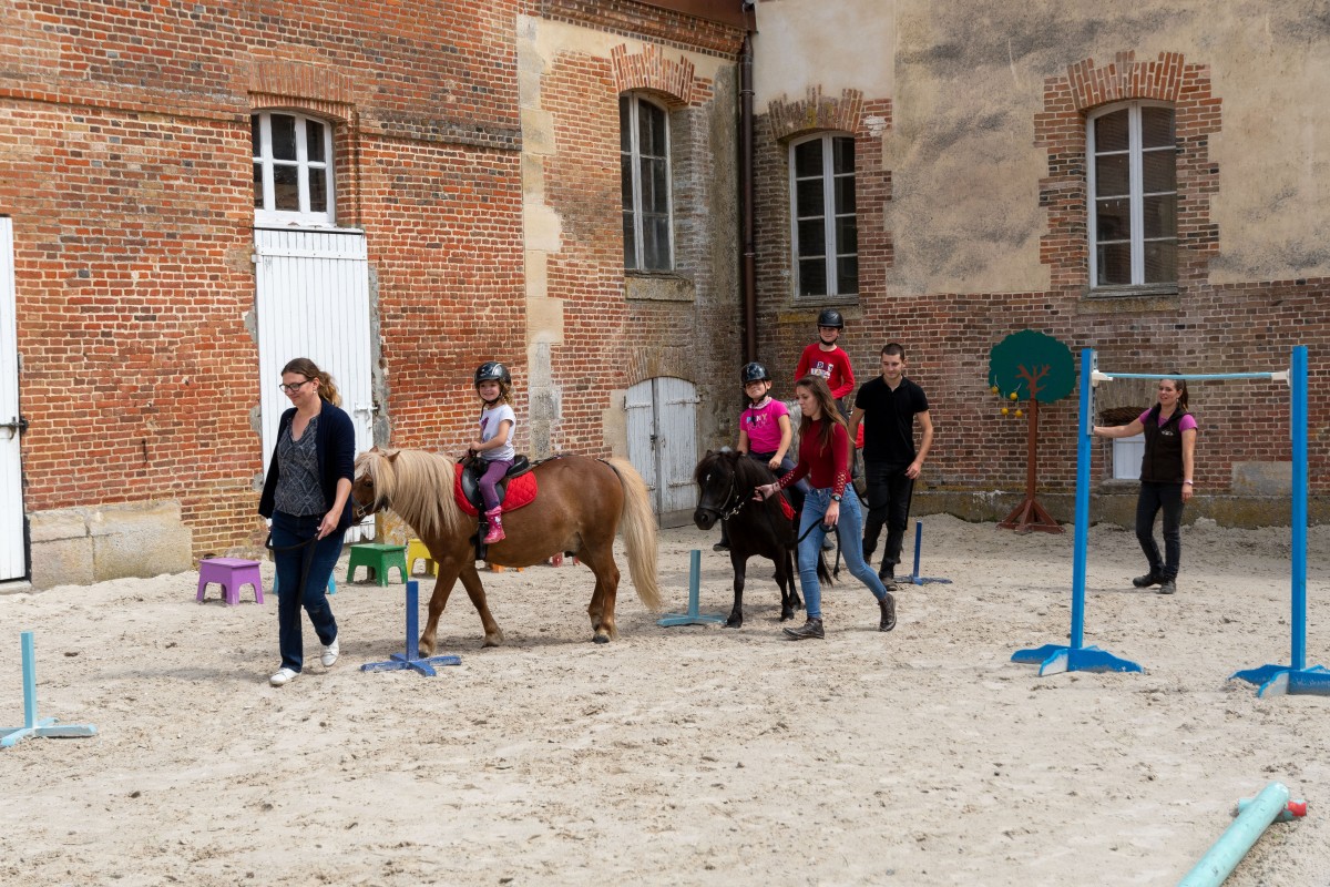 04 groupe poney-359 | David Commenchal