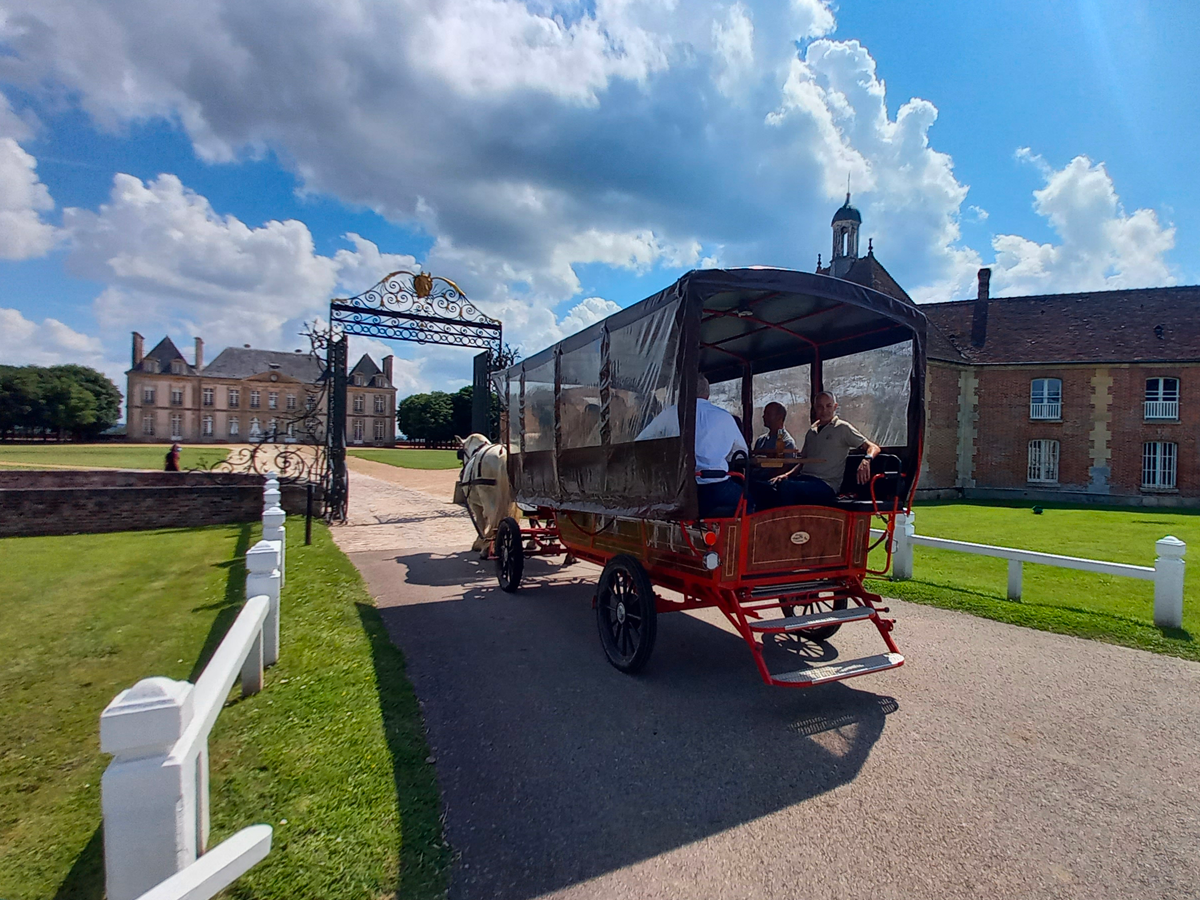 Ballade gourmande au Haras du Pin | ©Anthony Gohier