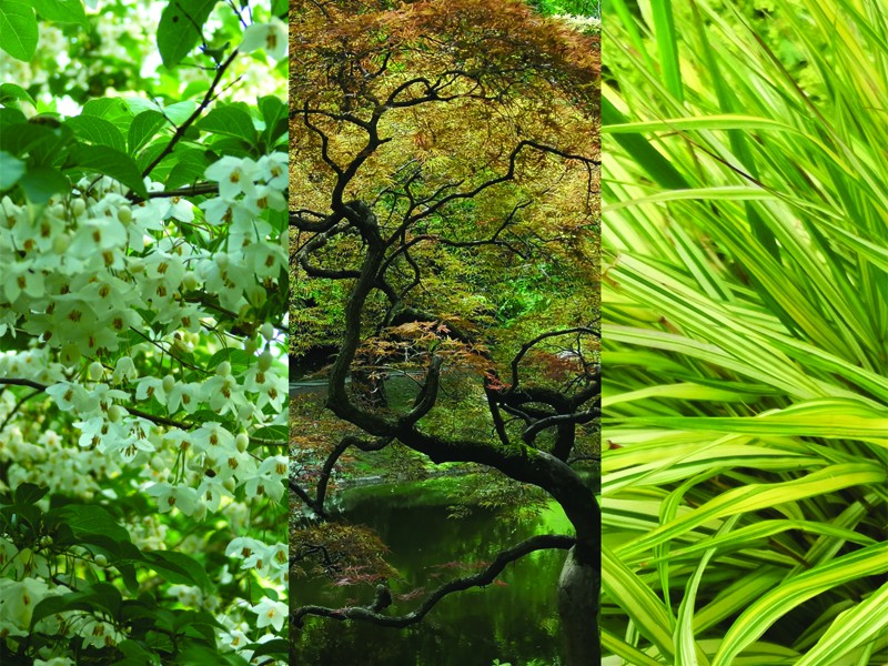 bagnoles-orne-fete-plantes-entre-ville-jardin-2026 | ©Entre ville et jardin