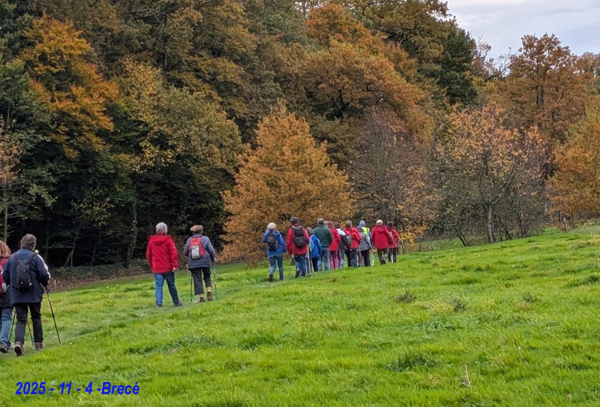 randonneurs_domfrontais | ©randonneurdudomfrontais