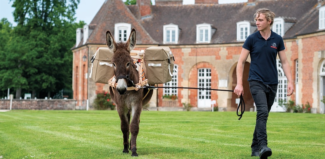 unknown_64c268baa57cd | Haras du Pin