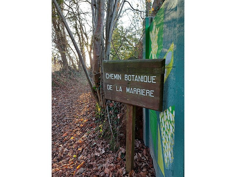 chemin botanique marais800©MNT | MNT
