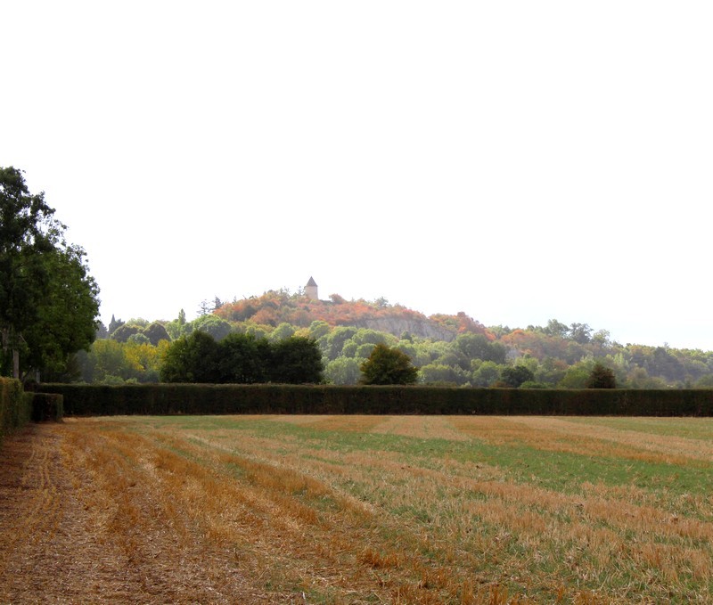 IMG_6375 - Copie | (c) OT Sées