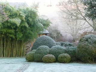 Neuf-Bois_2 | Neuf-Bois