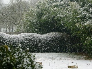 Neuf_Bois_3 | Neuf-Bois