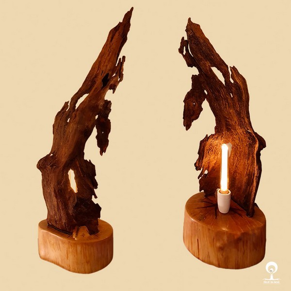 07 au 12 avril JEMA fruit du bois | fruit du bois