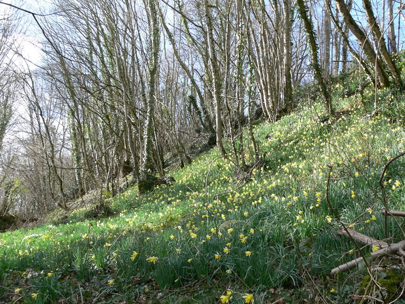 Méandres_camp de la Courbe | Conseil départemental de l'Orne