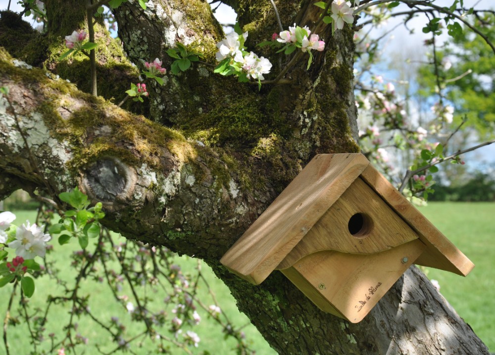 nichoir_boule-de-plumes | © Christine Nevoux