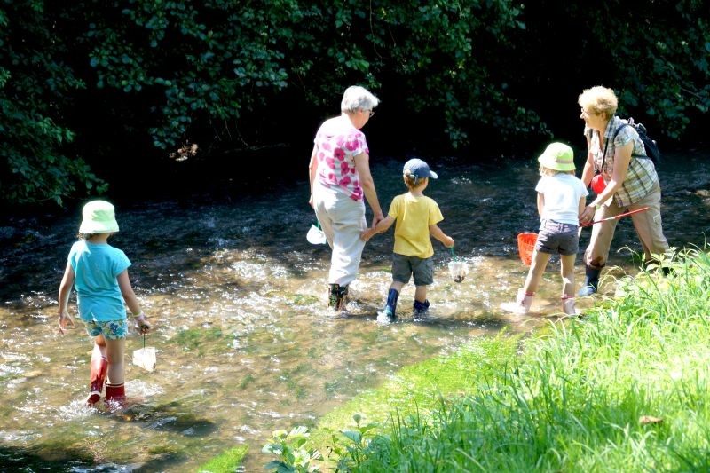 Sortie nature à Vimoutiers | Karin BADDELY