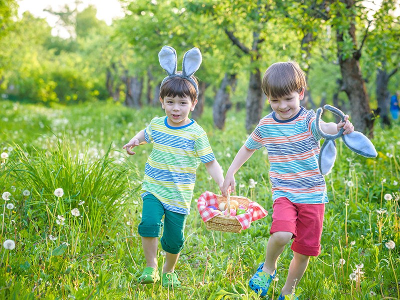Kids on Easter egg hunt in blooming spring garden. Children searching for colorful eggs in flower meadow. Toddler boy and his brother friend kid boy play outdoors | Pavel Kobysh