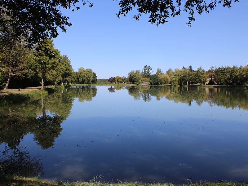 Étang_de_Saint_Maurice_lès_Charencey©F.Demeule | ©F.Demeule