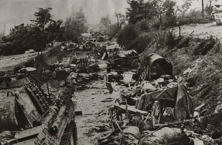 Visite guidée - La Poche de Falaise-Chambois | CD61