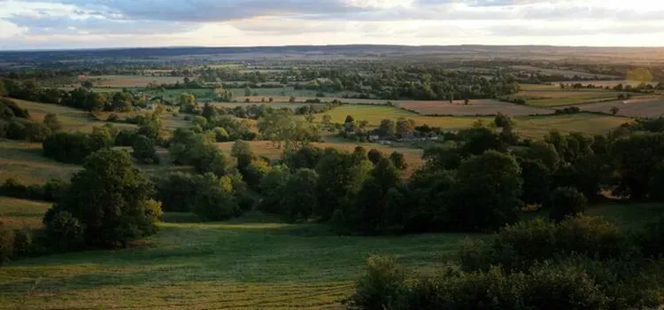 dbeef148f0044dddb5ab542a5094f6fc.base.image | CD61