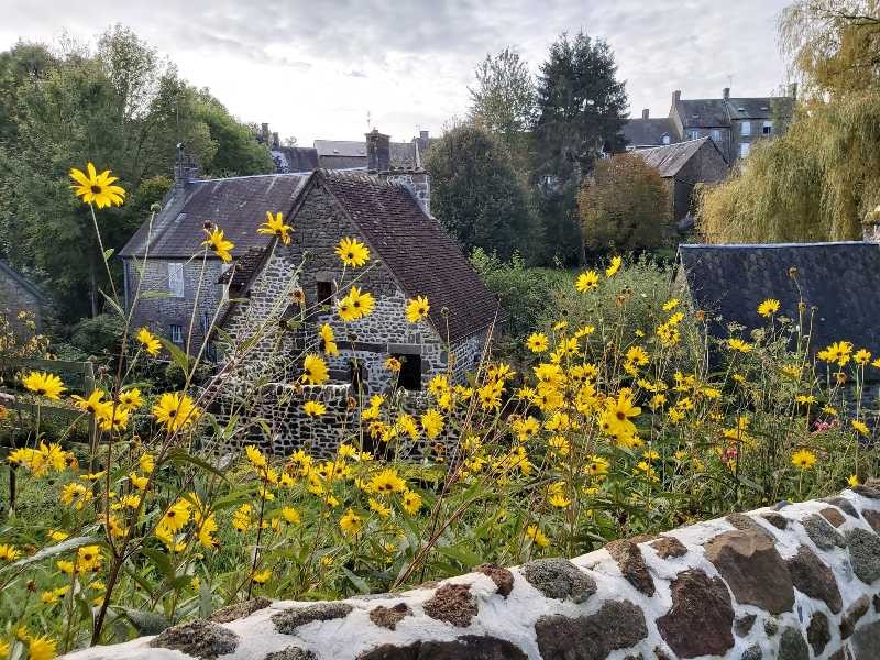 La carneille 2 | Virginie Sauques