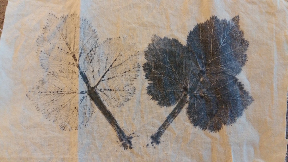 20170417_194948 | médiathèque