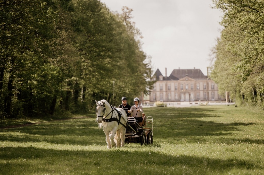 105_2025-06-04-11-33-13-6197 | Haras du Pin 