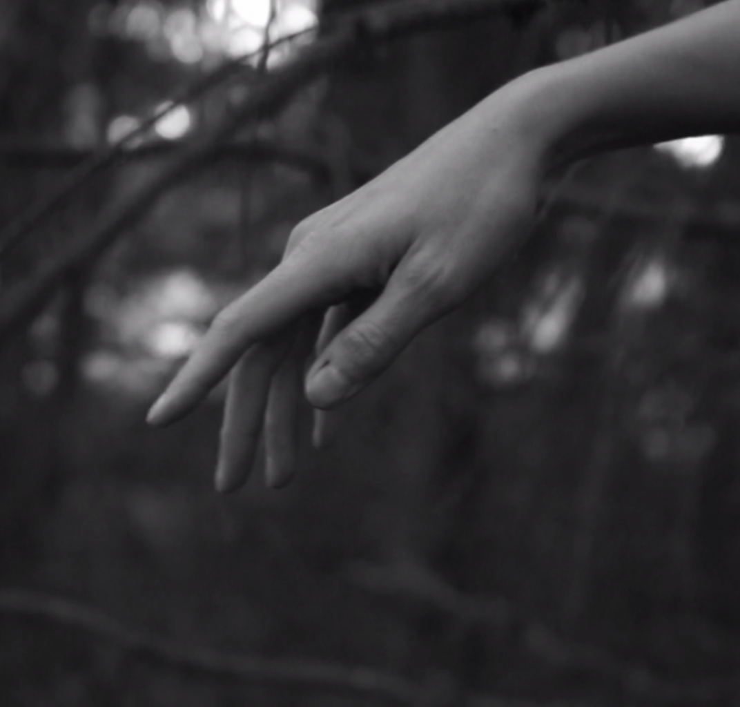 PHOTO STAGE FELDENKRAIS | ©LaConstellationpoetique