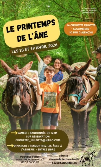 printemps de l'ane  | chouette mulotte