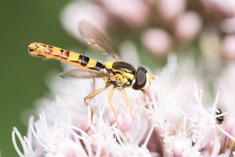 65b10796a23e1 (1) | Béa Gillot