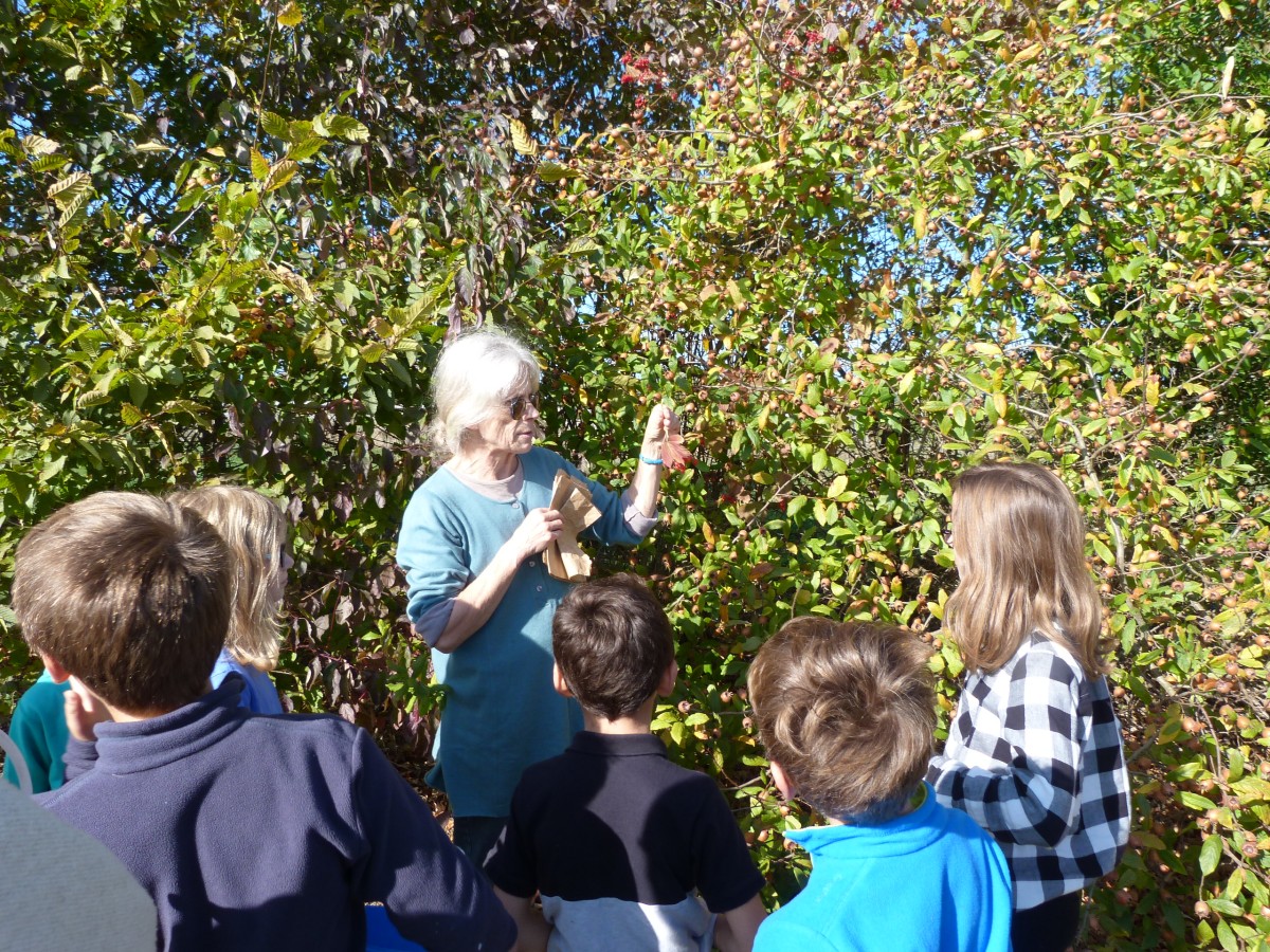 animationhaiesept2018 | PNRP