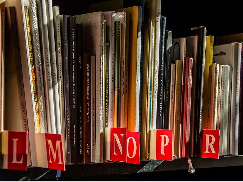 Livrespixabay800Sans titre | ©Pixabay