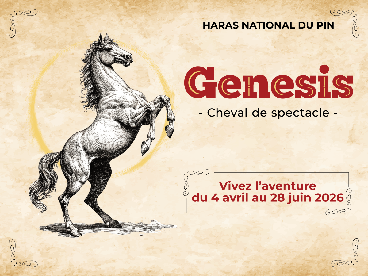 699d2a2d-1 | Haras du Pin