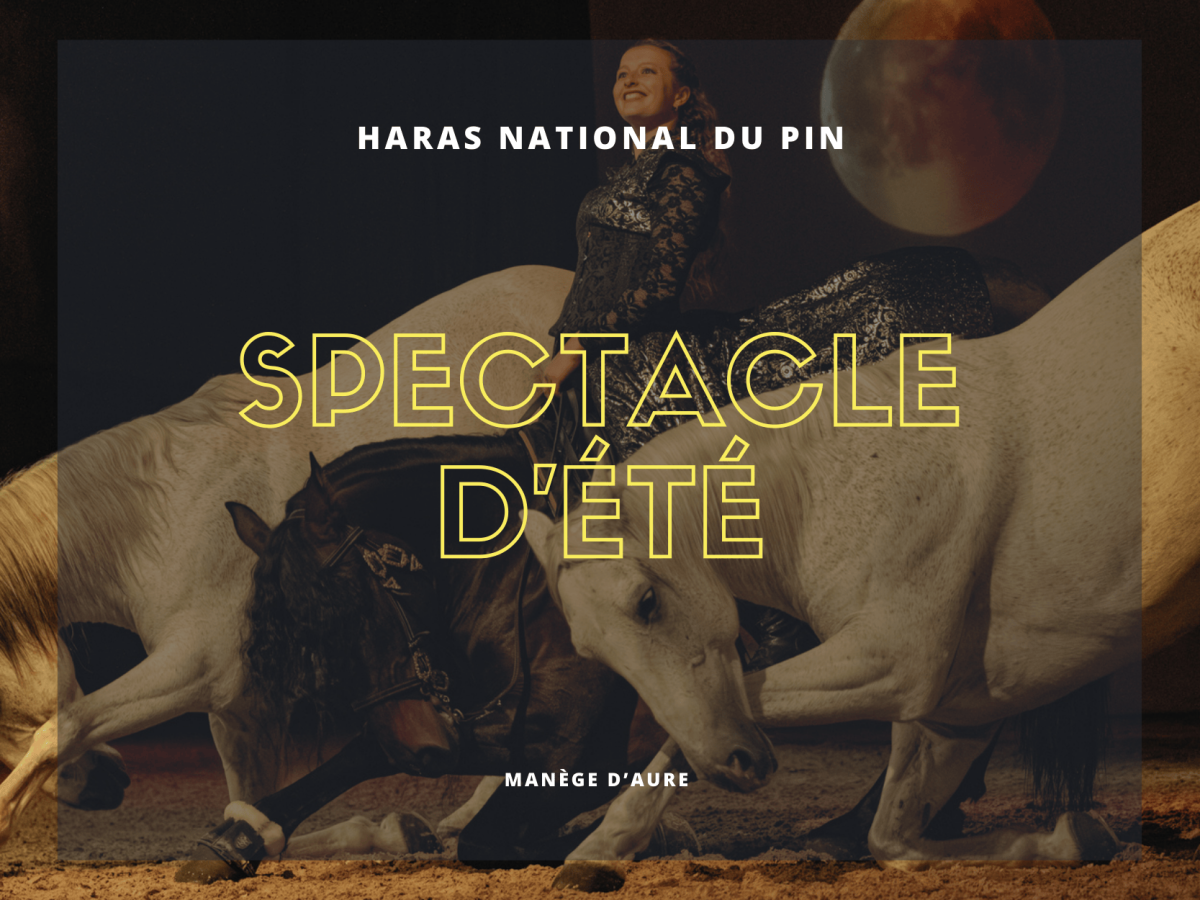 ete | Haras du pin