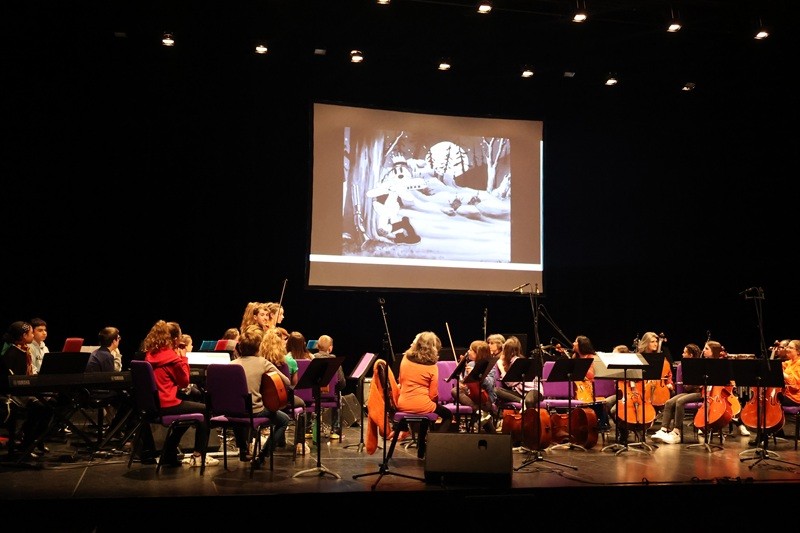 Ciné-concert | Flers Agglo