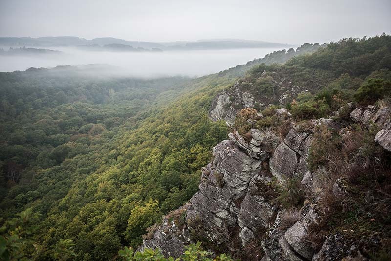 ROCHE-OETRE-ENS-BGILLOT--800- | Béa Gillot