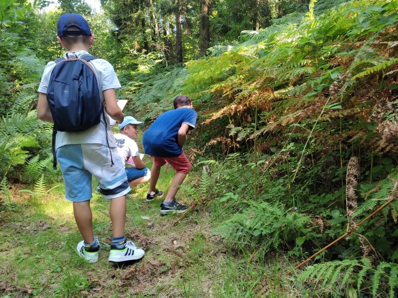 Balade sensorielle à Echauffour | Casse-tête normand