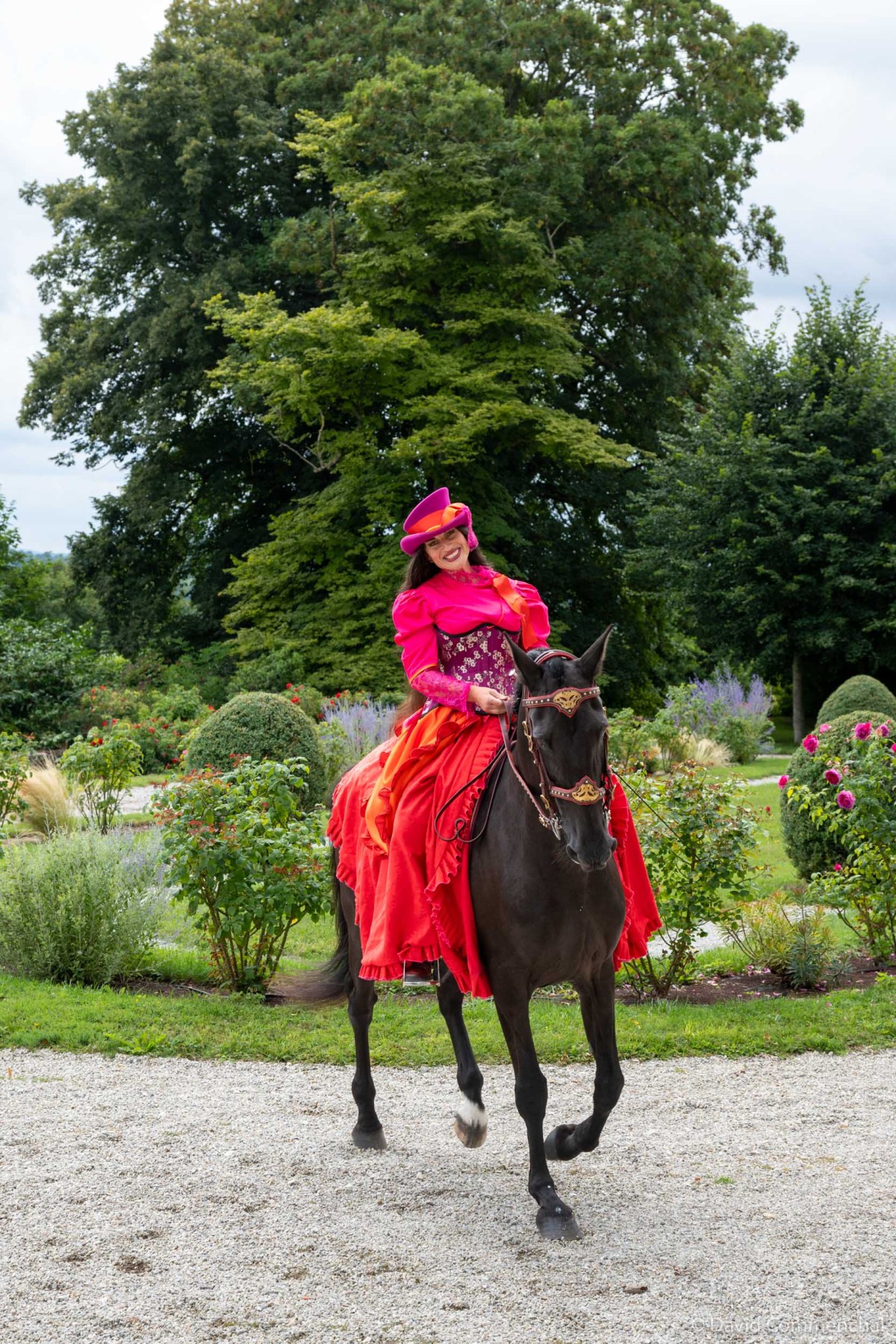 Haras du Pin 2025 | Haras du Pin 