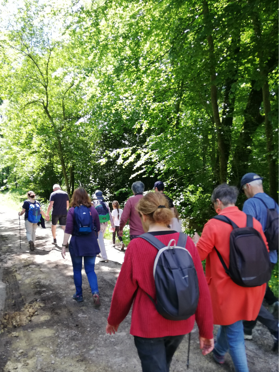 Copie de visiteparhasard_ecouche - 1 | nadegebretonnet_terresdargentan