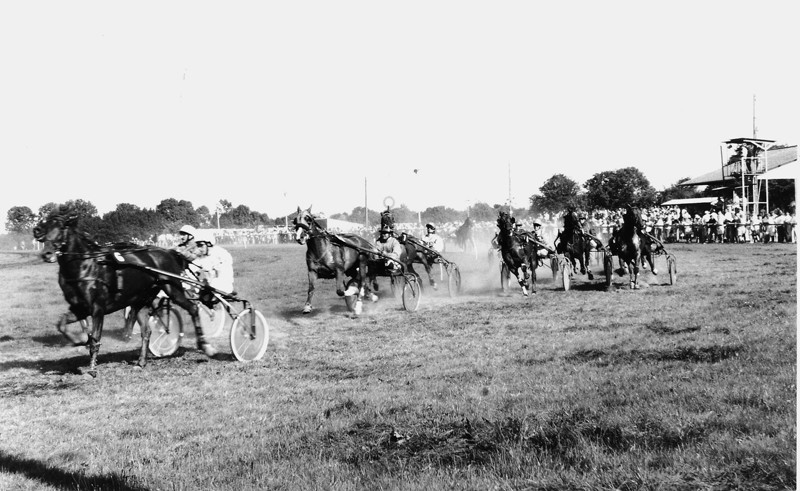 Courses hippiques à Sap-en-Auge | Jean-Claude MAYZAUD