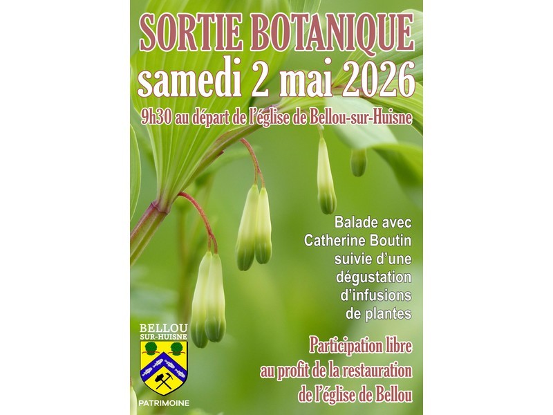 sortiebotanique-bellousurhuisne-800 | ©Association Bellou Patrimoine