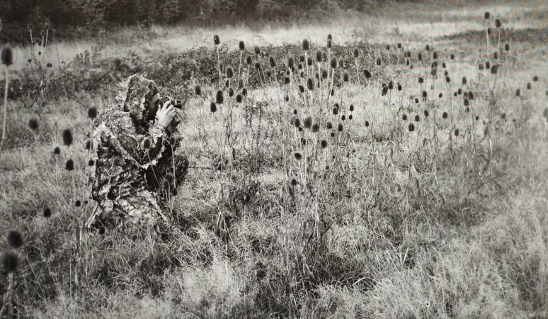 Exposition à Sap-en-Auge | Domaine Sauvage Le Costil