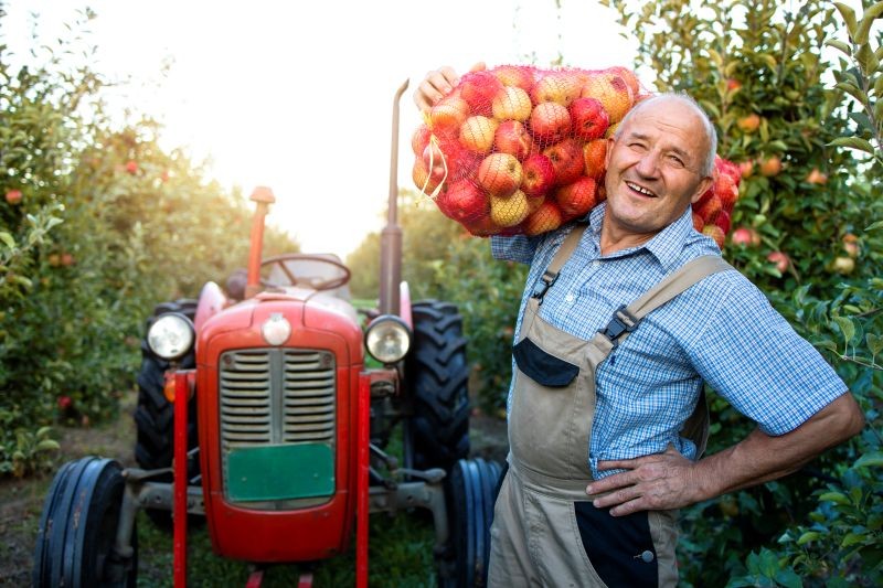 Comice agricole à Résenlieu | aleksandarlittlewolf_freepik
