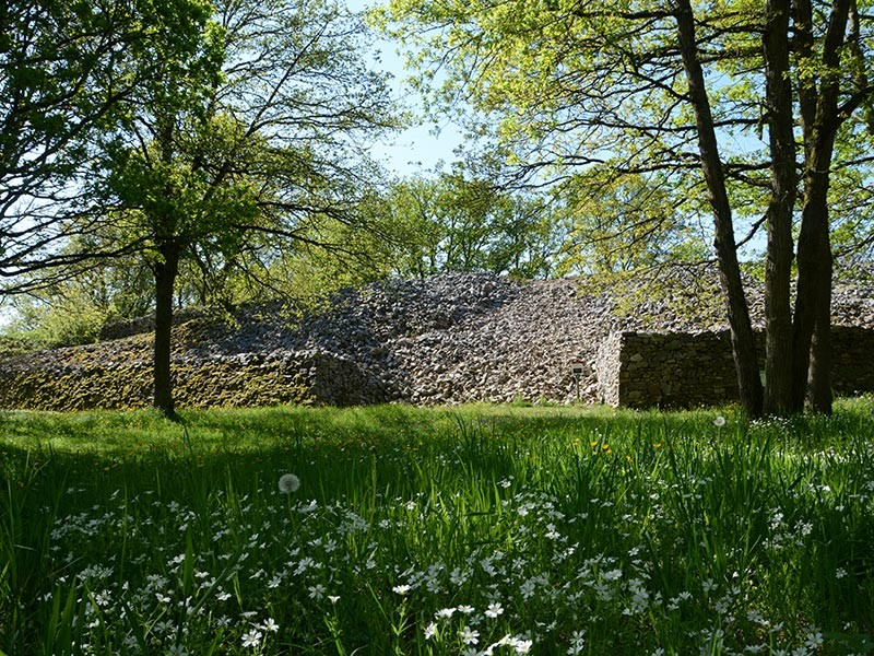 Le Camp de Bierre | Le Camp de Bierre © J Crocis