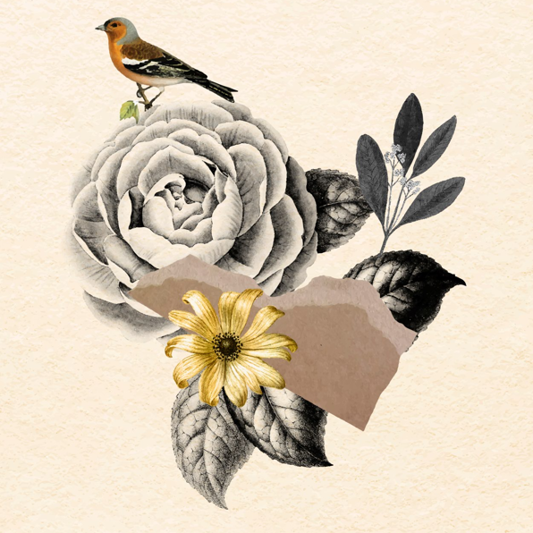 photo_collage | ©microfolie_domfront